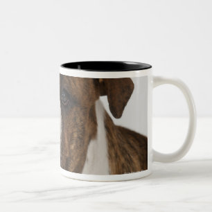 Tasse 2 Couleurs Portrait de chiot mignon de bouledogue