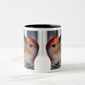 Tasse 2 Couleurs Portrait de pivert (Centre)
