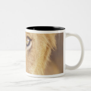 Tasse 2 Couleurs Portrait de plan rapproché d'un jeune mensonge
