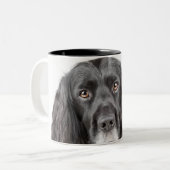 Tasse 2 Couleurs Portrait de studio de cocker (Devant gauche)
