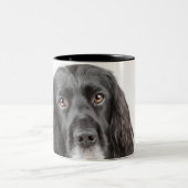 Tasse 2 Couleurs Portrait de studio de cocker (Centre)