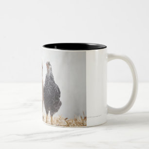 Tasse 2 Couleurs Portrait de trois poulets d'animal familier
