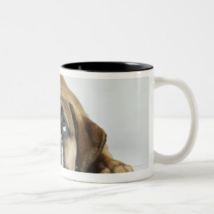Tasse 2 Couleurs Portrait de vieux Tyme bouledogue de Dorset