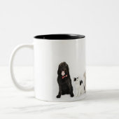Tasse 2 Couleurs Portrait des chats et des chiens se reposant (Gauche)