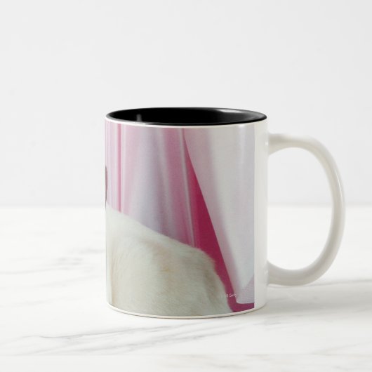 Tasse 2 Couleurs Portrait du chat 4 (Droit)