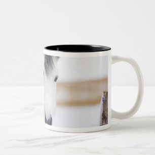 Tasse 2 Couleurs portrait du cheval blanc