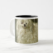 Tasse 2 Couleurs Portrait d'un caniche (Devant gauche)