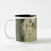 Tasse 2 Couleurs Portrait d'un caniche (Gauche)