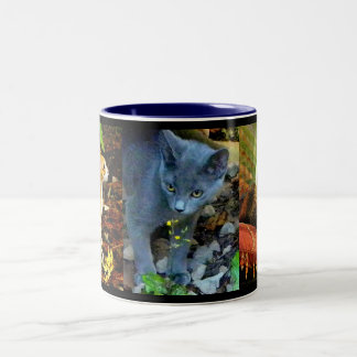 TASSE 2 COULEURS PORTRAITS DE CAT