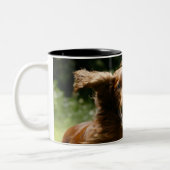 Tasse 2 Couleurs Poseur irlandais (Gauche)