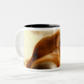 Tasse 2 Couleurs Poseur irlandais sur le sofa (Devant gauche)