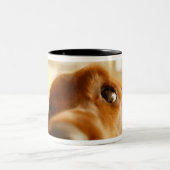 Tasse 2 Couleurs Poseur irlandais sur le sofa (Centre)