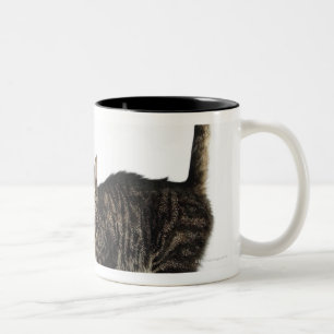 Tasse 2 Couleurs Position masculine domestique de chat tigré