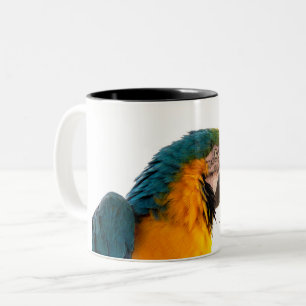 Tasse 2 Couleurs Post-it Notes perroquet