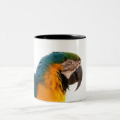 Tasse 2 Couleurs Post-it Notes perroquet (Centre)