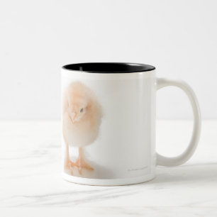 Tasse 2 Couleurs Poulet de bébé et faux poulet mécanique