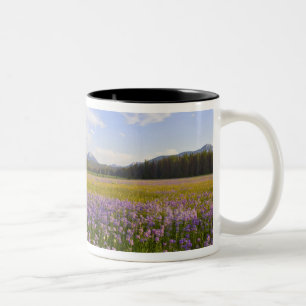 Tasse 2 Couleurs Prairie de fleurs sauvages de penstemon dans les 2