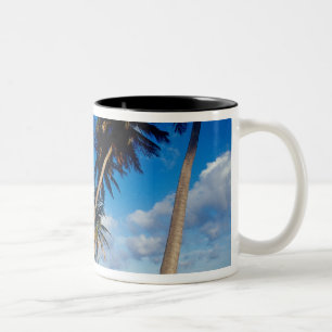 Tasse 2 Couleurs Presqu'île de La Samana, République dominicaine,