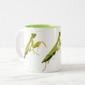 Tasse 2 Couleurs Prier Mantis (Devant gauche)
