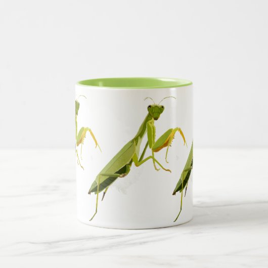 Tasse 2 Couleurs Prier Mantis (Centre)