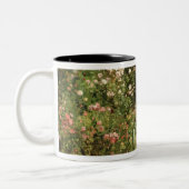 Tasse 2 Couleurs Promenade (Gauche)