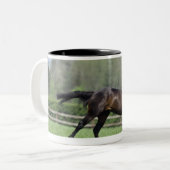 Tasse 2 Couleurs Pur sangs de cheval, Wassl 1988, (Devant gauche)