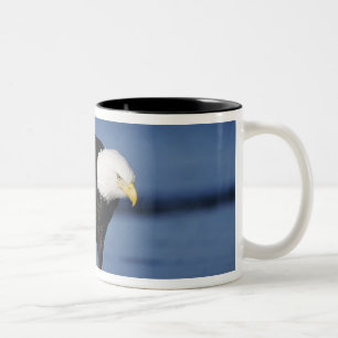Tasse 2 Couleurs Pygargue à tête blanche