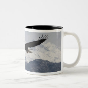 Tasse 2 Couleurs Pygargue à tête blanche en vol, Haliaeetus leucoce