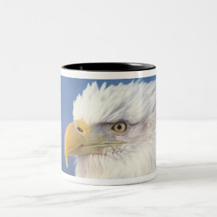 Tasse 2 Couleurs pygargue à tête blanche, Haliaeetus leuccocephalus