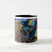 Tasse 2 Couleurs Pygoplites de l'angélique de Regal (diacanthus) (Centre)