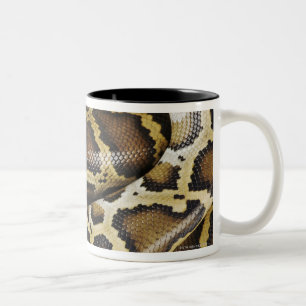 Tasse 2 Couleurs Python birman