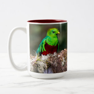 Tasse 2 Couleurs Quetzal resplendissant dans la forêt nuageuse