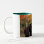 Tasse 2 Couleurs Qui chien de Dat ? (Gauche)