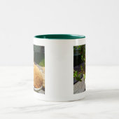 Tasse 2 Couleurs Racleur dans un pot (Centre)