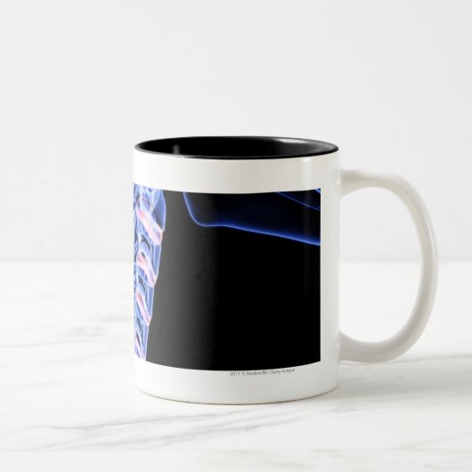 Tasse 2 Couleurs Radiographiez l'image des os du cou (Droit)