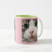 Tasse 2 Couleurs Ragdoll Kitty (Devant droit)