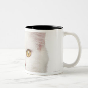 Tasse 2 Couleurs Ragondin du Maine (8 mois) 2