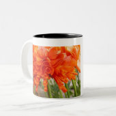 Tasse 2 Couleurs Ranunculus hérissé (Devant gauche)