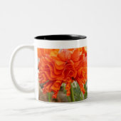 Tasse 2 Couleurs Ranunculus hérissé (Gauche)