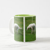 Tasse 2 Couleurs Rare White Raven Photo Faune (Devant gauche)