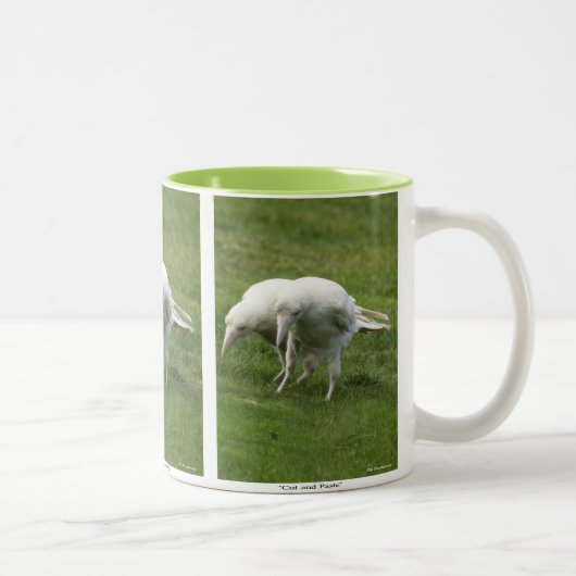Tasse 2 Couleurs Rare White Raven Photo Faune (Droit)
