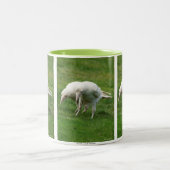 Tasse 2 Couleurs Rare White Raven Photo Faune (Centre)