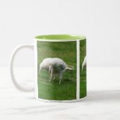 Tasse 2 Couleurs Rare White Raven Photo Faune (Gauche)