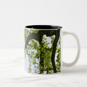 Tasse 2 Couleurs Recherche de l'arbre du peuplier de printemps