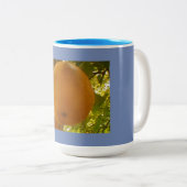 Tasse 2 Couleurs Récolte de poires (Devant droit)