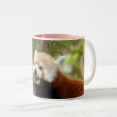 Tasse 2 Couleurs red-panda-033 (Devant droit)