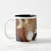 Tasse 2 Couleurs Red Panda, Zoo de Taronga, Sydney, Australie (Gauche)