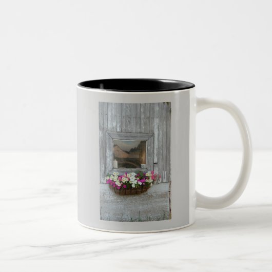 Tasse 2 Couleurs Réflexion de la grange (Droit)