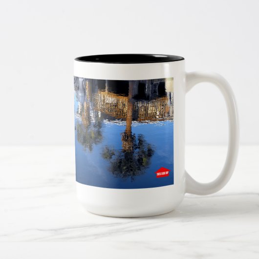 Tasse 2 Couleurs Réflexion des palmiers (Droit)