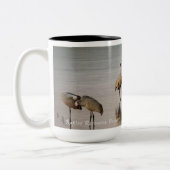 Tasse 2 Couleurs Réflexions de Flyway: Graines de Sandhill (Gauche)